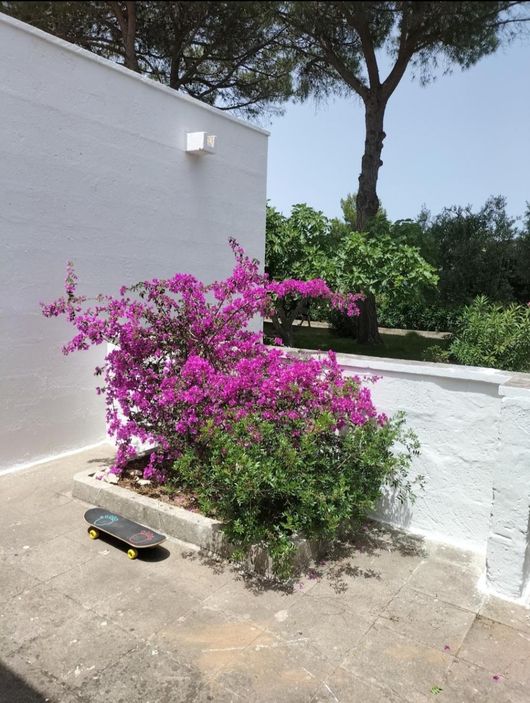 Casa Azzurra Villa Conca Specchiulla Eksteriør billede